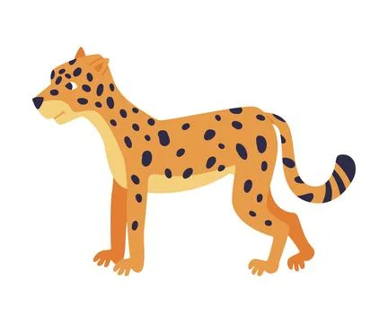 Cute Spotted Leopard as Wild African Animal Standing Vector Illustration 스톡 일러스트