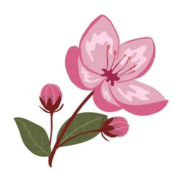 Cute spring cherry blossom vector isolated illustration Stock Illustration