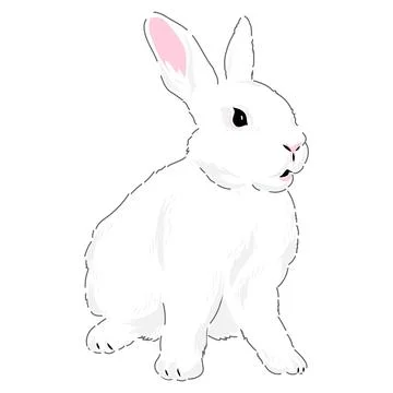 Cute spring Easter bunny hand drawn illustration Stock Illustration