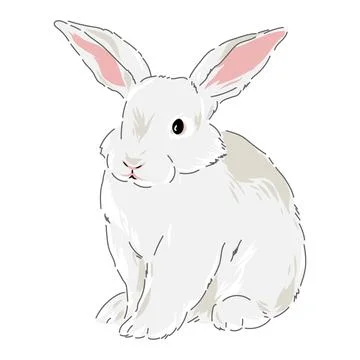 Cute spring Easter bunny hand drawn illustration Stock Illustration