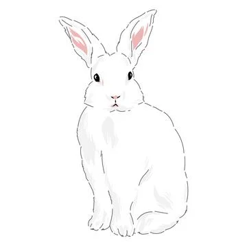Cute spring Easter bunny hand drawn illustration Stock Illustration
