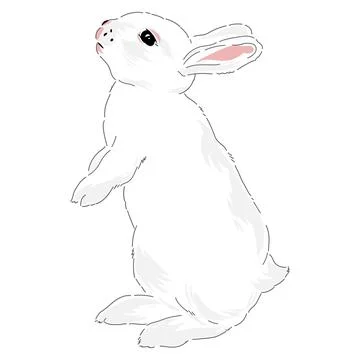 Cute spring Easter bunny hand drawn illustration Stock Illustration
