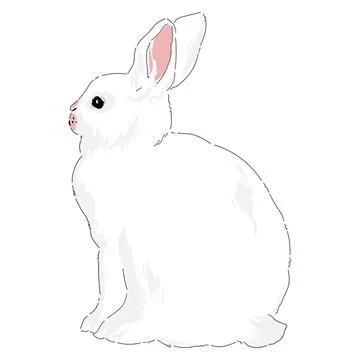 Cute spring Easter bunny hand drawn illustration Stock Illustration