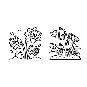 Cute Spring Flower Line Art Set Daffodils and Snowdrop Floral Illustration Stock Illustration