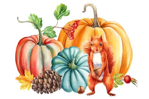 Cute squirrel, cone, pumpkin and leaves maple, watercolor hand drawing. Autumn Stock Illustration