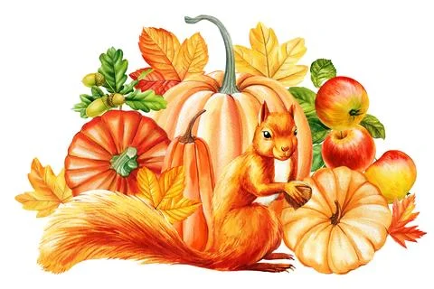 Cute squirrel, cone, pumpkin and leaves maple, watercolor hand drawing. Autumn Stock Illustration
