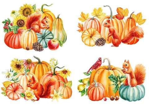 Cute squirrel, cone, pumpkin and leaves maple, watercolor hand drawing. Autumn Stock Illustration