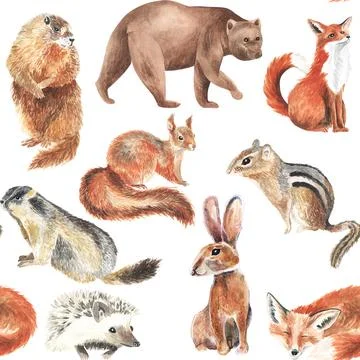 Cute squirrel, groundhog, bear, fox, hare, hedgehog, chipmunk. Forest little Stock Illustration