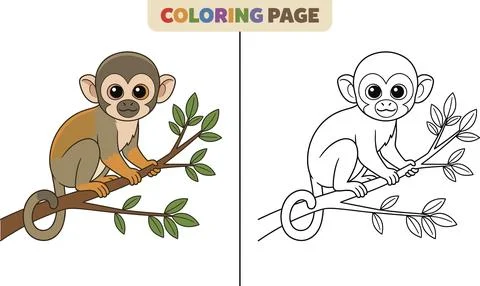 Cute Squirrel Monkey Sitting on a Tree Branch Coloring Page. Stock Illustration