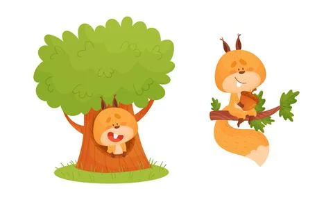 Cute squirrel various activities set. Lovely forest animal character sitting in イラスト素材