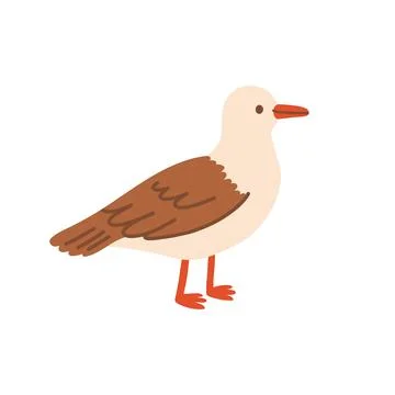 Cute standing seagull character vector illustration facing right. Ocean bird Stock Illustration