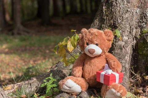 Cute stuffed teddy bear with gift Stock Photos