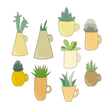 Cute succulents in cups. Stock Illustration