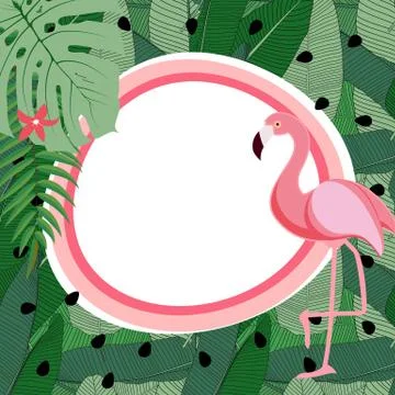 Cute Summer Abstract Frame Background with Pink Flamingo Illustration 스톡 일러스트