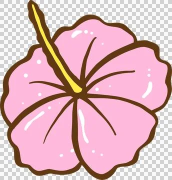 Cute Summer Pink Hibiscus Tropical Flower Hand Drawn Stock Illustration