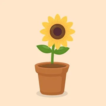 Cute Sunflower in Pot Flat Vector Illustration Ilustração Stock