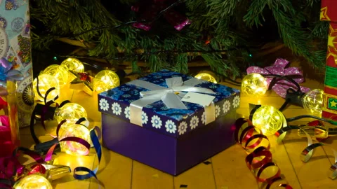 Cute Surprise under the Tree HD Stock Footage 120365010