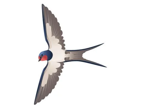 Cute swallow flying on white background cartoon bird animal design Stock Illustration