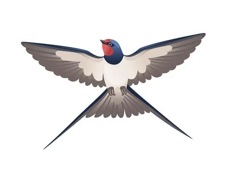 Cute swallow flying on white background cartoon bird animal design Illustrazione stock
