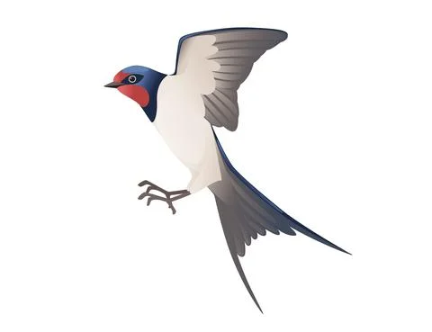 Cute swallow flying on white background cartoon bird animal design Stock Illustration