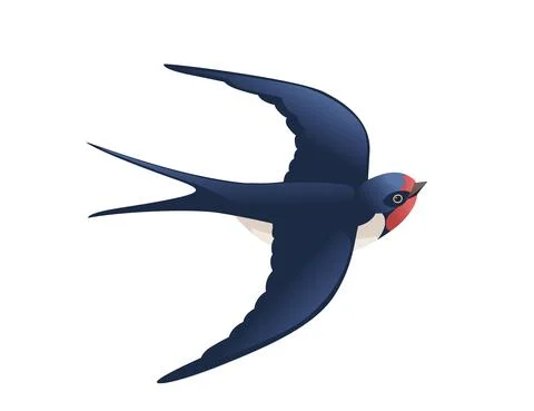 Cute swallow flying on white background cartoon bird animal design Stock Illustration