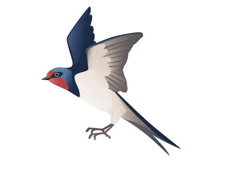 Cute swallow flying on white background cartoon bird animal design Stock Illustration