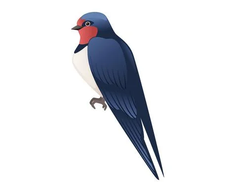 Cute swallow sitting on white background cartoon bird animal design Stock Illustration