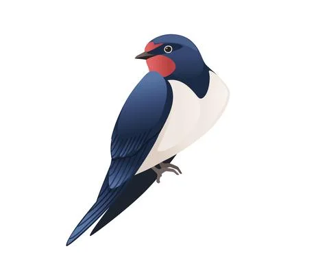 Cute swallow sitting on white background cartoon bird animal design Stock Illustration