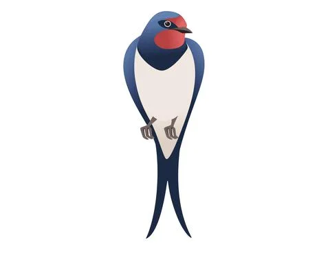 Cute swallow sitting on white background cartoon bird animal design Stock Illustration
