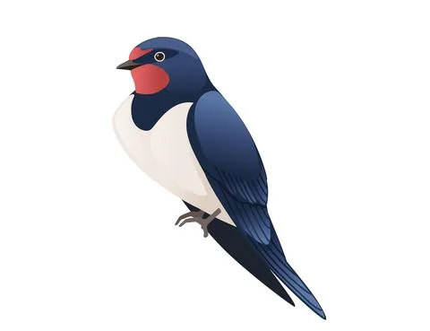 Cute swallow sitting on white background cartoon bird animal design Stock Illustration