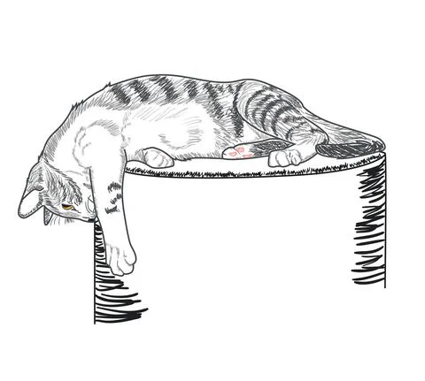 Cute tabby cat Illustration
