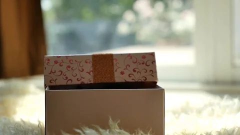 Cute tabby kitten playing in a gift box with Christmas decoration,slow motion Stock Footage 73164299
