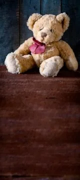 Cute Teddy Bear Bookmark Stock Photos