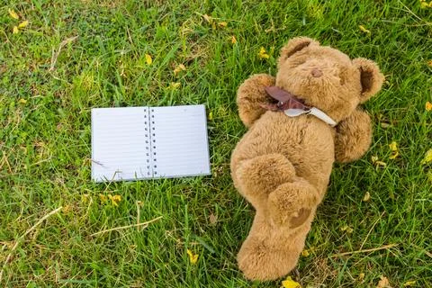 A cute teddy bear lying on grass  and notebook to fill. Stock Photos
