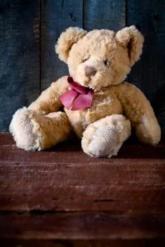 Cute Teddy Bear Stock Photos