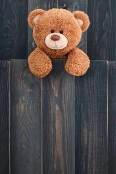 Cute teddy bear Stock Photos
