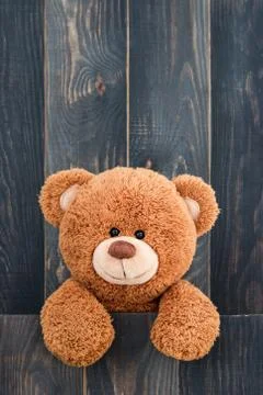 Cute teddy bear Stock Photos