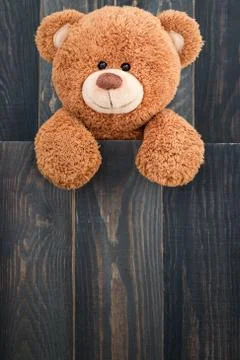 Cute teddy bear Stock Photos