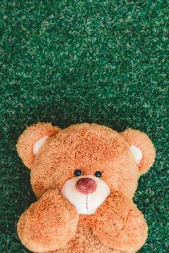 Cute teddy bear Stock Photos