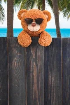 Cute teddy bear Stock Photos