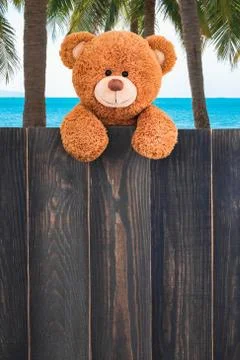Cute teddy bear Stock Photos