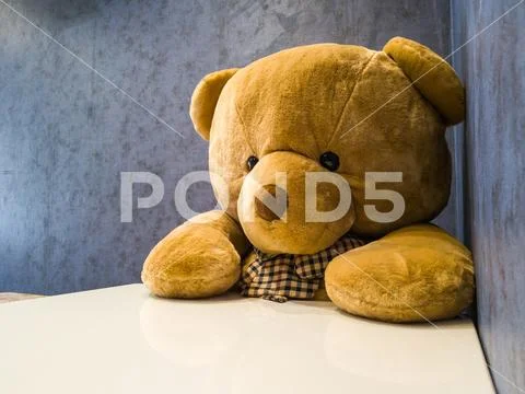 Cute teddy bear sit on the chair in front of dining table. Make it seem like Stock Photos