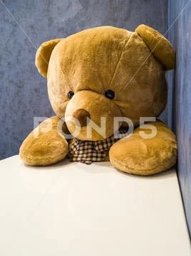 Cute teddy bear sit on the chair in front of dining table. Make it seem like Stock Photos