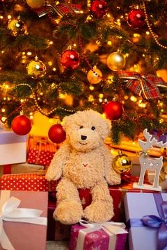 Cute teddy bear sitting on presents under Christmas tree Stock Photos