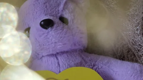 Cute teddy bear toy with handmade greeting heart shape 스톡 동영상 244241252