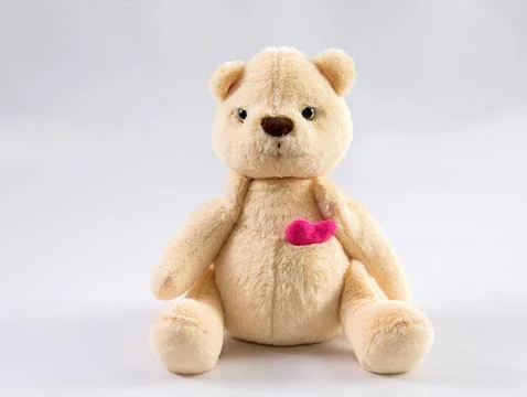 Cute teddy bear on a white background. 写真素材