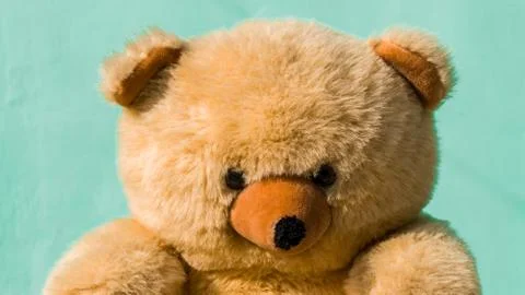 Cute teddy bears Stock Photos