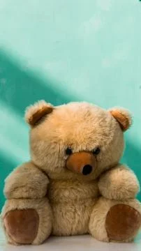 Cute teddy bears Stock Photos