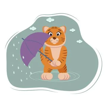 Cute tiger in autumn, cold and rain Stock Illustration