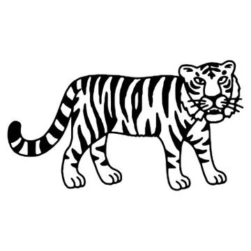 Cute tiger cartoon roaring Stock Illustration